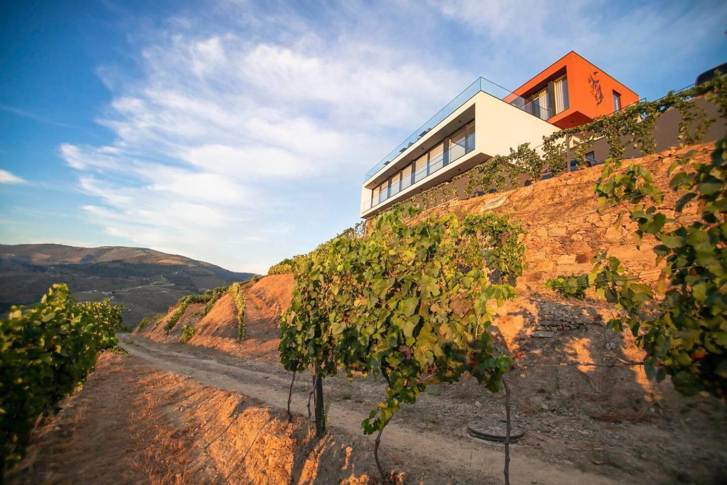Bed and Breakfast Quinta Vale De Lobos Folgosa  Zewnętrze zdjęcie