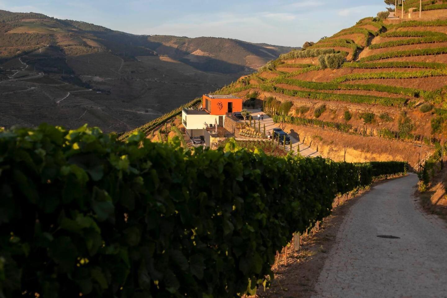 Bed and Breakfast Quinta Vale De Lobos Folgosa  Zewnętrze zdjęcie